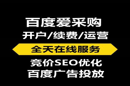 SEM推广公司成功案例：助力企业实现品牌多元化发展